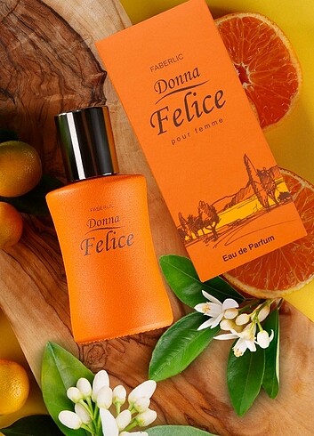 Donna Felice Faberlik