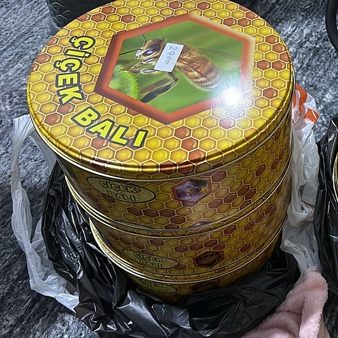 Bak kutusu