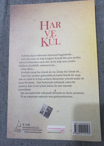 Har ve Kül - Ezgin Kılıç - Görsel 2