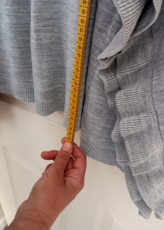 Pelerin kazak - Görsel 2