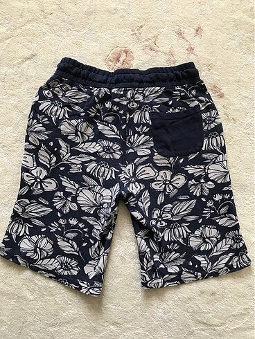 U.S Polo Assn. Polo Assn Orginal Şort