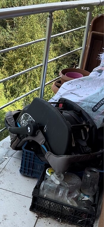 Bebek oto koltuğu