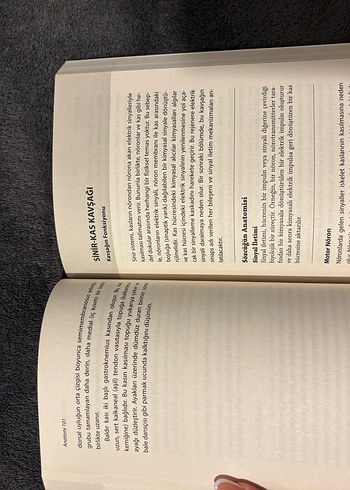 anatomi 101 kitabi - Görsel 3