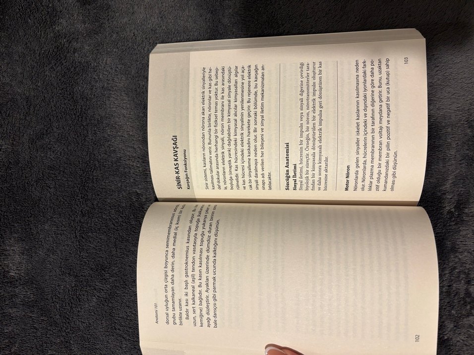 anatomi 101 kitabi - Görsel 3