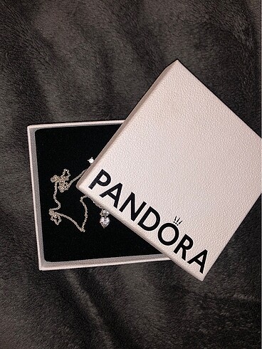 Pandora pandora