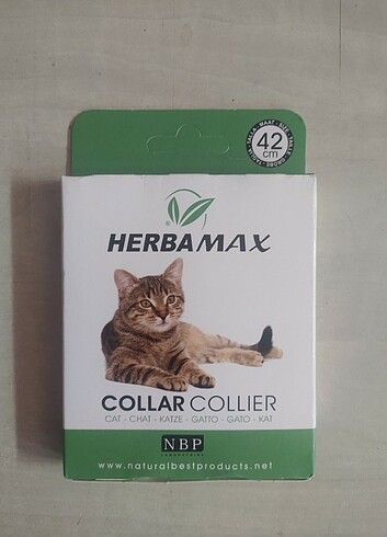 Kedi ve köpek tasma 20ad.