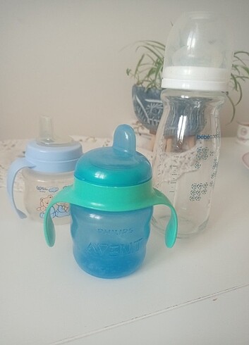 Philips avent ve biberonlar 