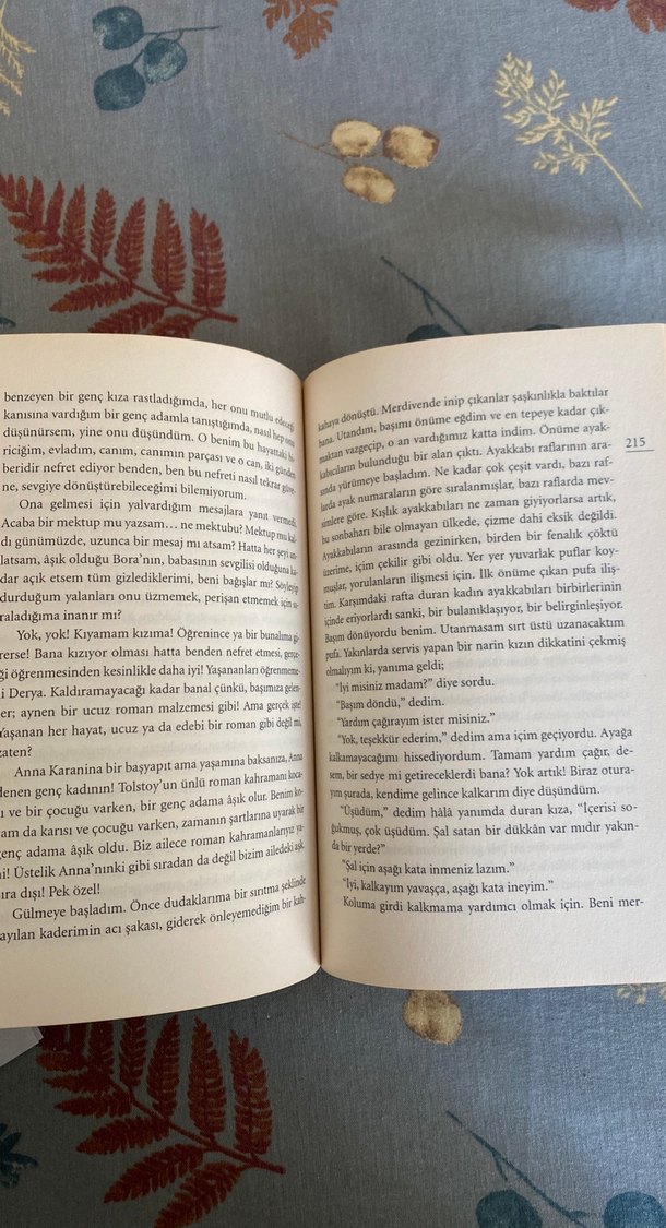 Dönüş - Ayşe Kulin - Görsel 5