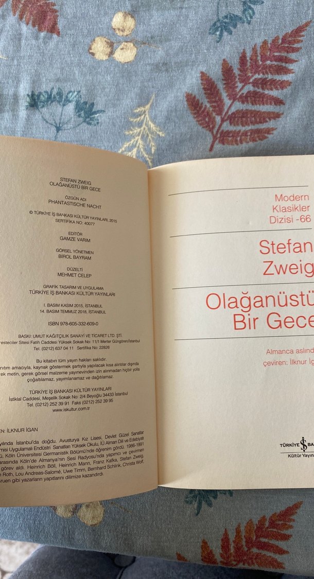 Olağanüstü Bir Gece - Stefan Zweig - Görsel 3