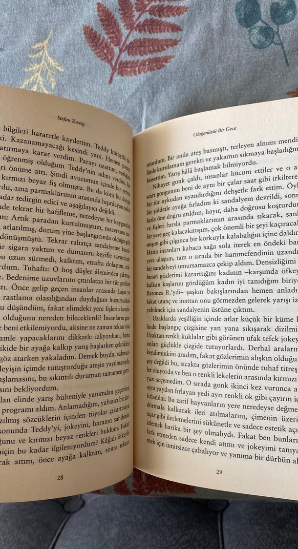 Olağanüstü Bir Gece - Stefan Zweig - Görsel 4
