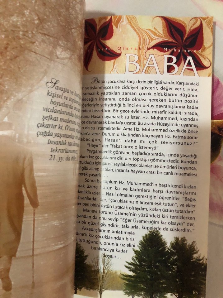 Bir İnsan Olarak Hz. Muhammed - Said Alpsoy - Görsel 3