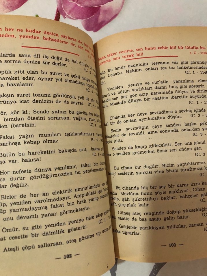 Şems ve Mevlâna - Arif Etik - Görsel 3