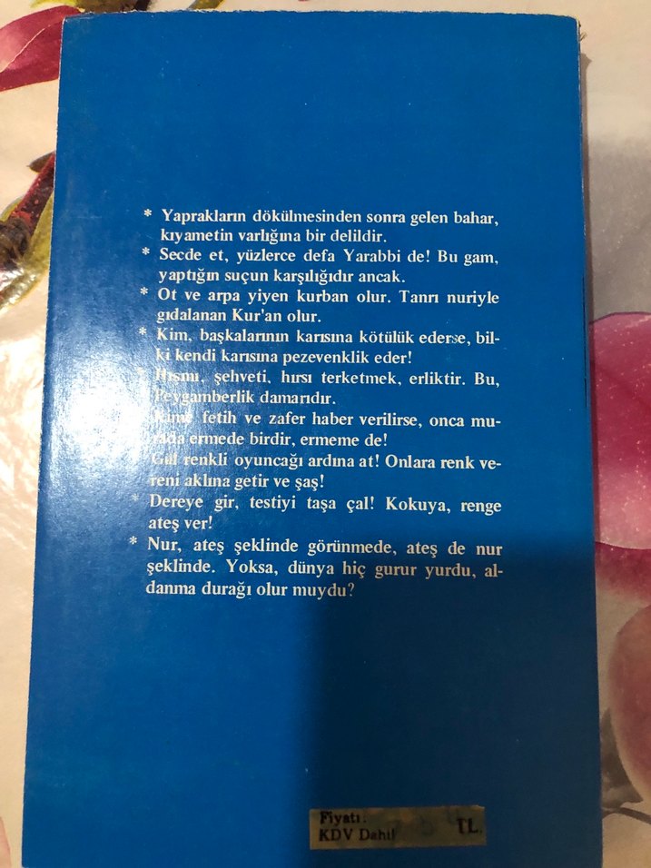 Şems ve Mevlâna - Arif Etik - Görsel 2