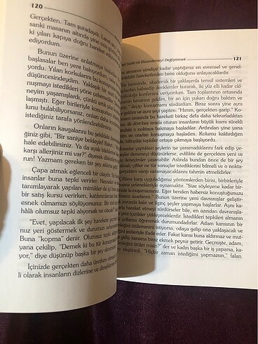  Beden Renk NLP Prenslere Dönüşen Kurbağalar