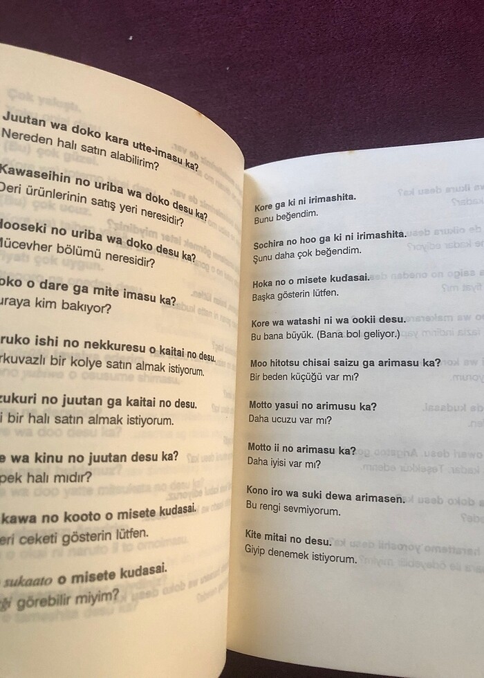Pratik Japonca kılavuzu - Görsel 3