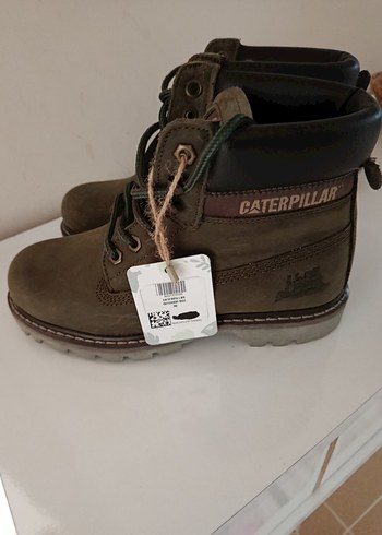 Cat haki bot - Görsel 2