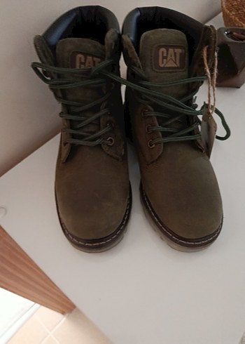 Cat haki bot - Görsel 4