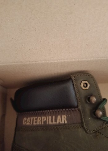 Cat haki bot - Görsel 6