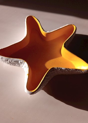 Deniz Yıldızı tabak - Görsel 2