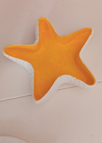 Deniz Yıldızı tabak - Görsel 3