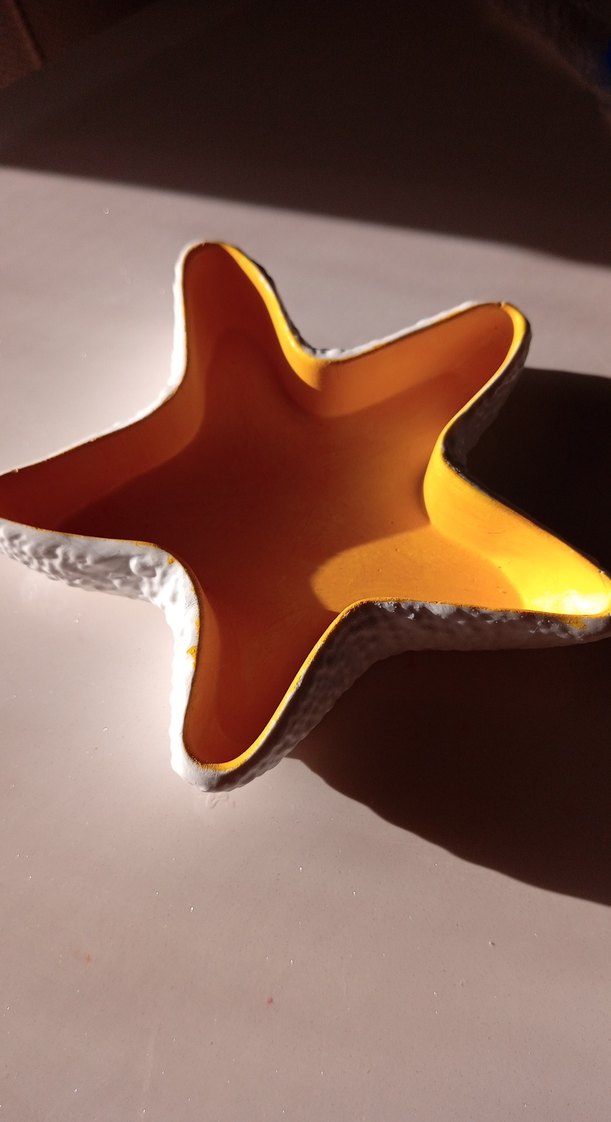 Deniz Yıldızı tabak - Görsel 2