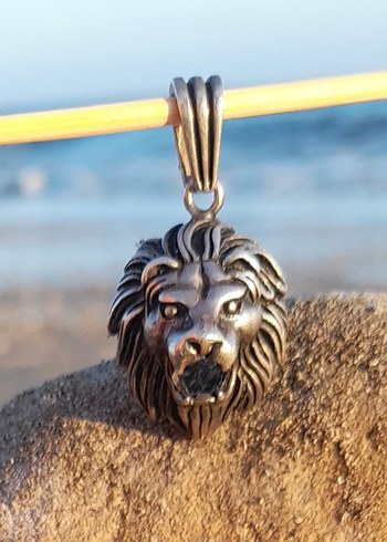 Vintage gümüş 925 Aslan başı burcu kolye Ucu - Görsel 7