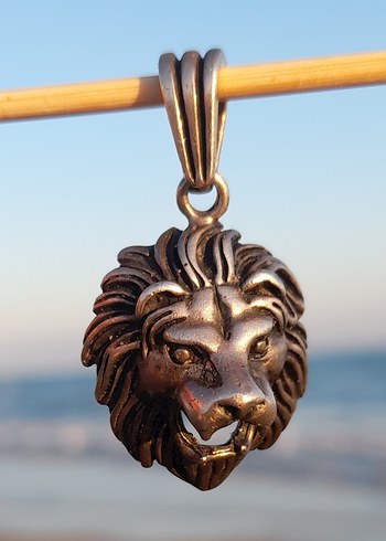 Vintage gümüş 925 Aslan başı burcu kolye Ucu - Görsel 5