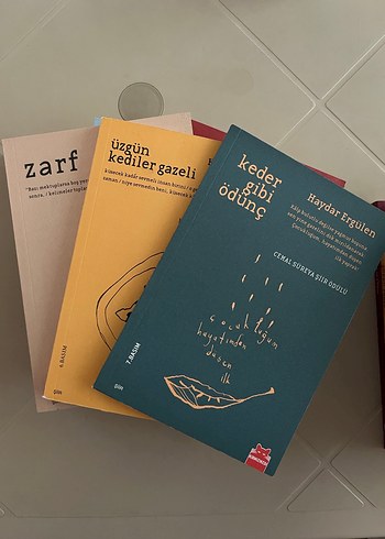 Haydar Ergülen 6 Kitap Seti - Görsel 3