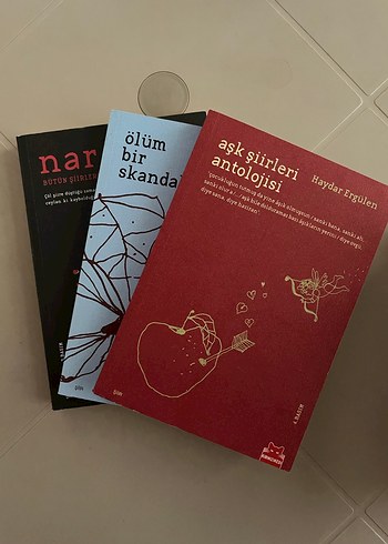 Haydar Ergülen 6 Kitap Seti - Görsel 2