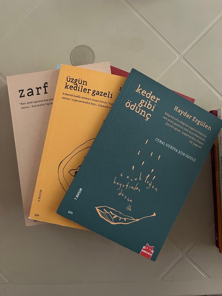 Haydar Ergülen 6 Kitap Seti - Görsel 3
