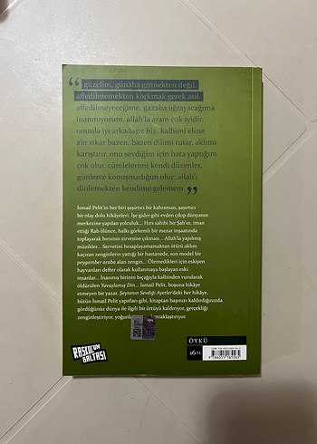 İsmail Pelit - Şeytanın Sevdiği Ayetler - Görsel 2