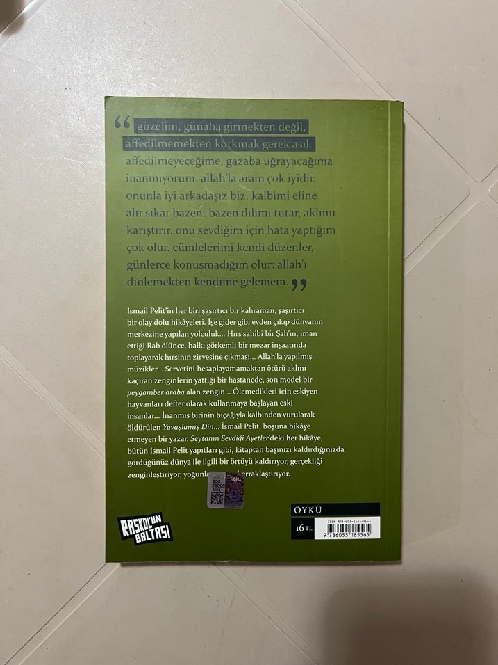 İsmail Pelit - Şeytanın Sevdiği Ayetler - Görsel 2