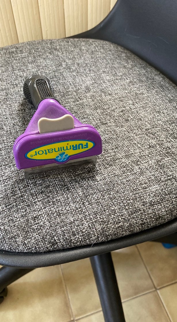 Mor Parlak Kedi Tüyü Temizleyici Tarak - Görsel 3