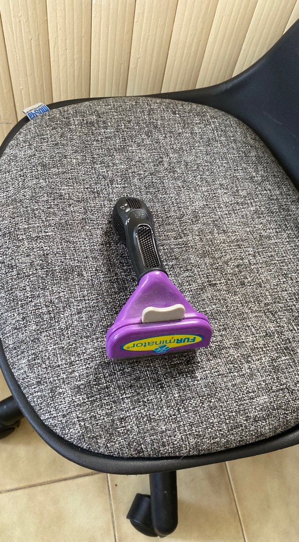 Mor Parlak Kedi Tüyü Temizleyici Tarak - Görsel 2