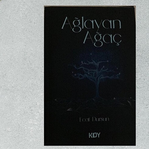 Kitap