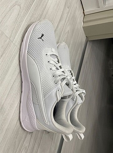 Puma anzarun