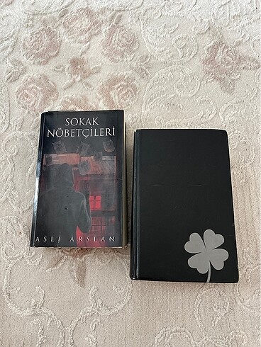  Sokak Nöbetçileri Serisi