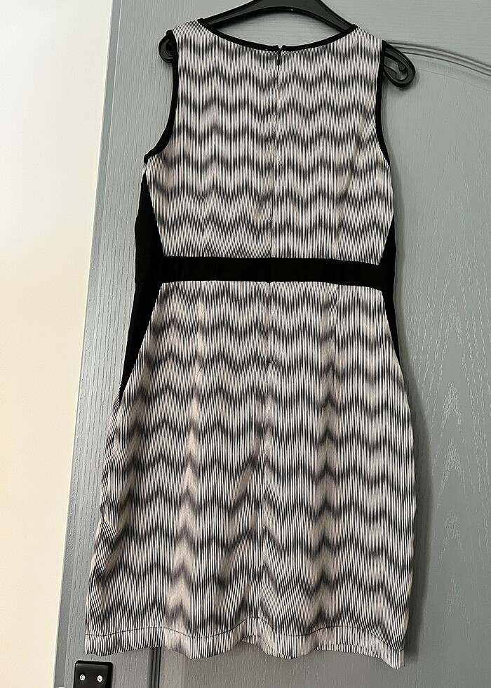 FOREVER21 ZEBRA DESEN MİNİ ELBİSE - Görsel 5