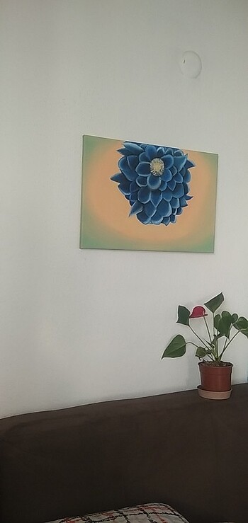  Beden Mavi çiçek Aster makro tablosu