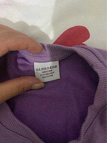 U.S Polo Assn. Sweatshırt