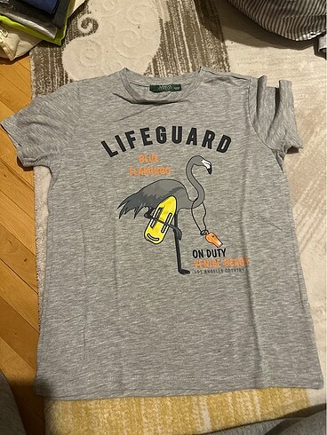 Limon Company t shirt