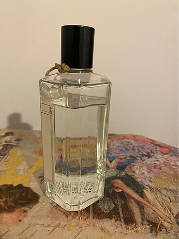 Atelierrebul 1895 kolonya - Görsel 2