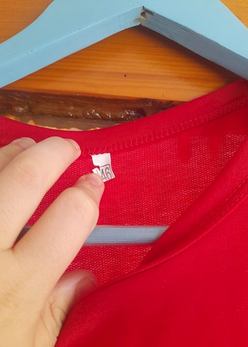 46 Beden kırmızı Renk Kırmızı Salaş Kadın Sweatshirt adet fiyatıdır.