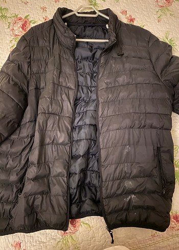 Bab montu - Görsel 2