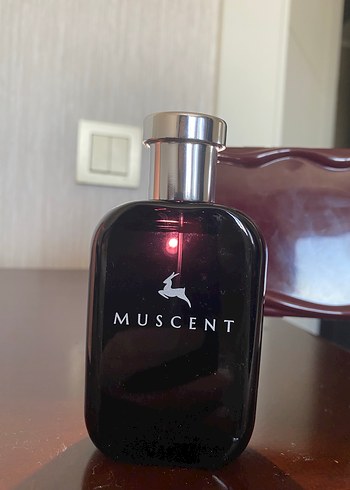 Beden MUSCENT this is her F161