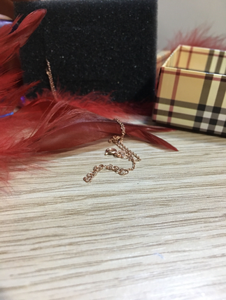 universal Beden gri Renk Rose Gold Gümüş Kolye