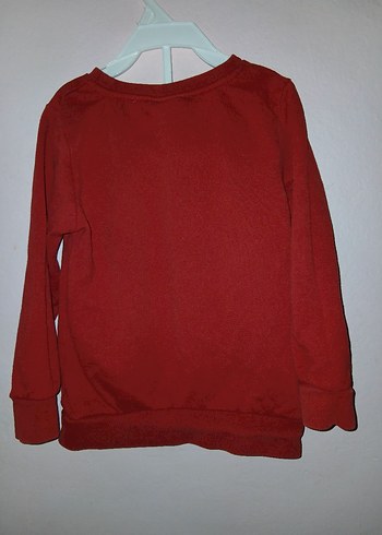Diğer Erkek Çocuk Renkli Baskılı Sweatshirt