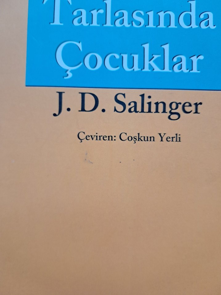 Çavdar Tarlasında Çocuklar - J.D. Salinger - Görsel 2