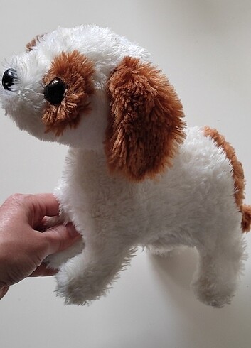 Havlayan ,kuyruk sallayan köpek