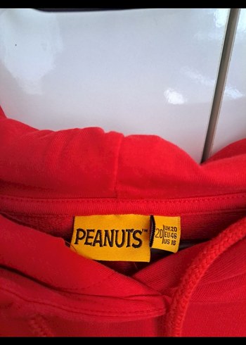 Peanuts Peanuts Büyük Beden Unisex Sweatshirt